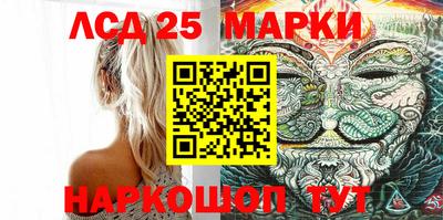 спиды Сланцы