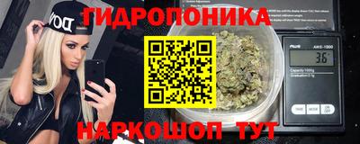 спиды Сланцы